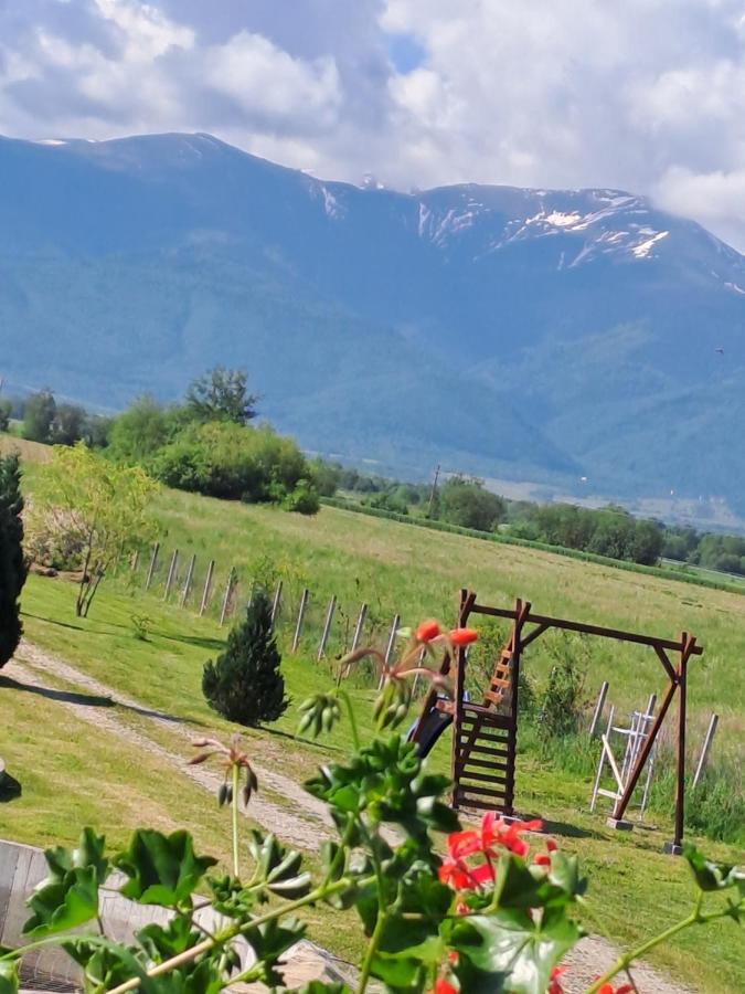 La Izvoare Pensiune-Pastravarie Simbata de Sus Exterior photo