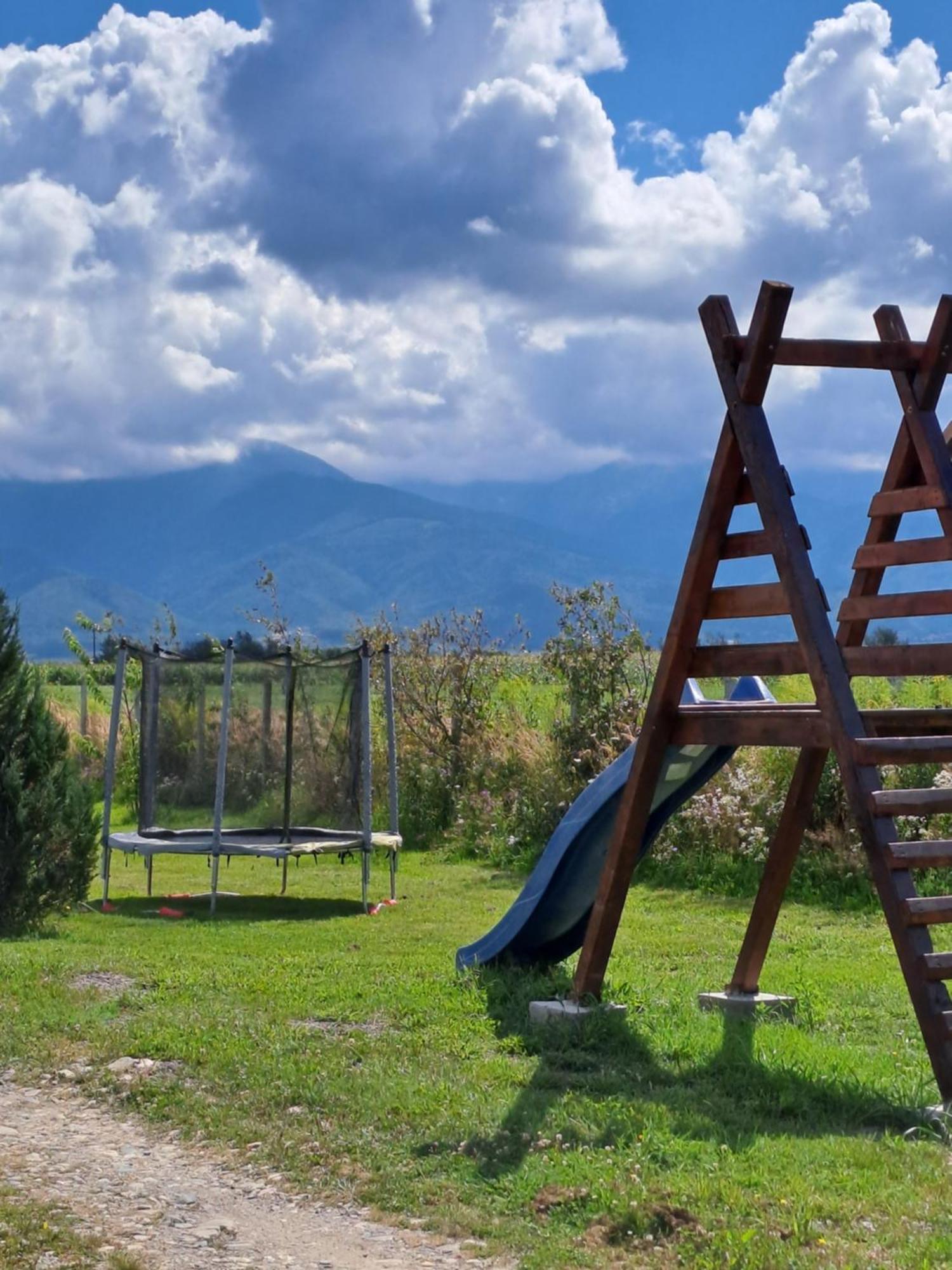 La Izvoare Pensiune-Pastravarie Simbata de Sus Exterior photo