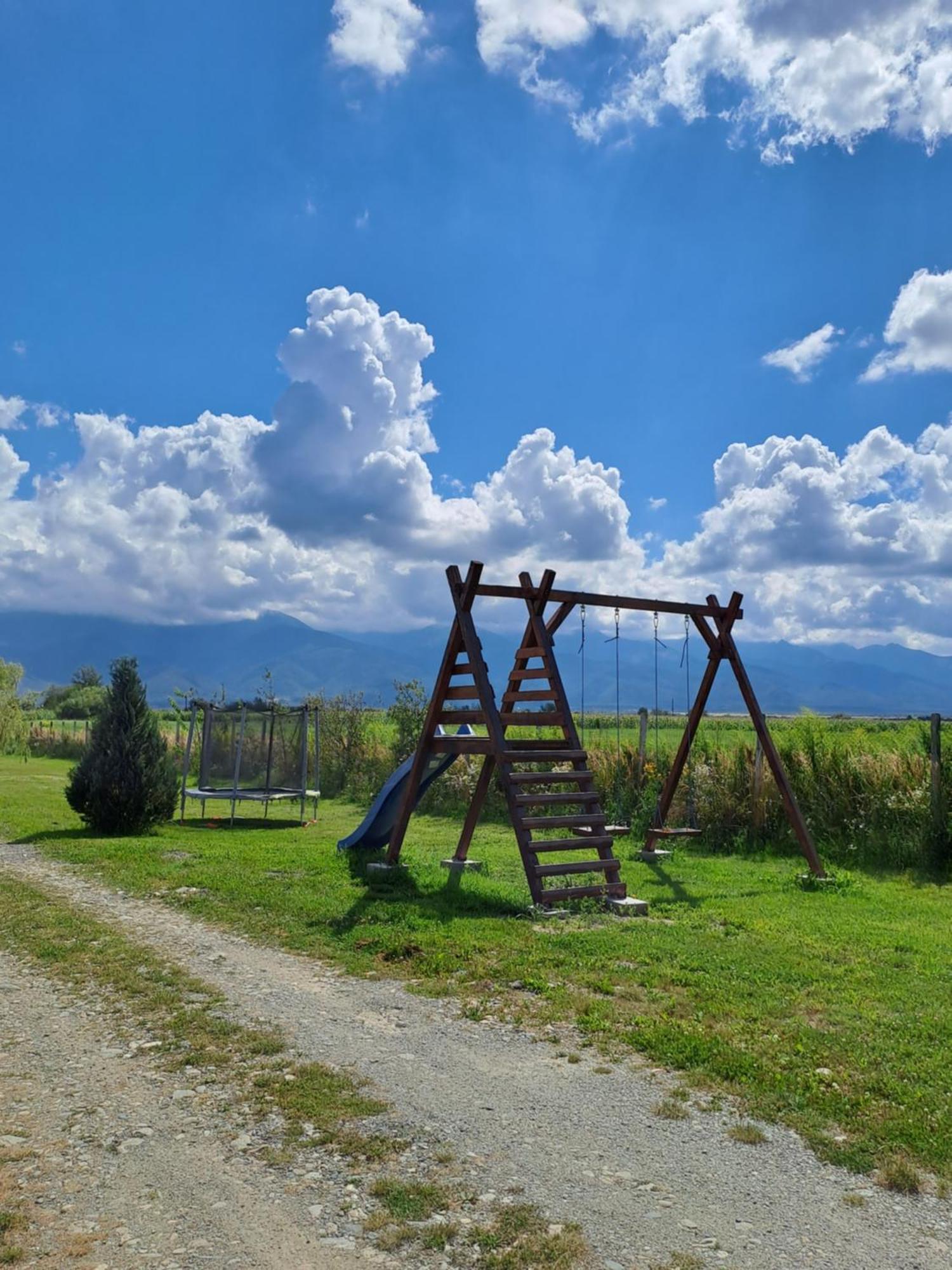 La Izvoare Pensiune-Pastravarie Simbata de Sus Exterior photo