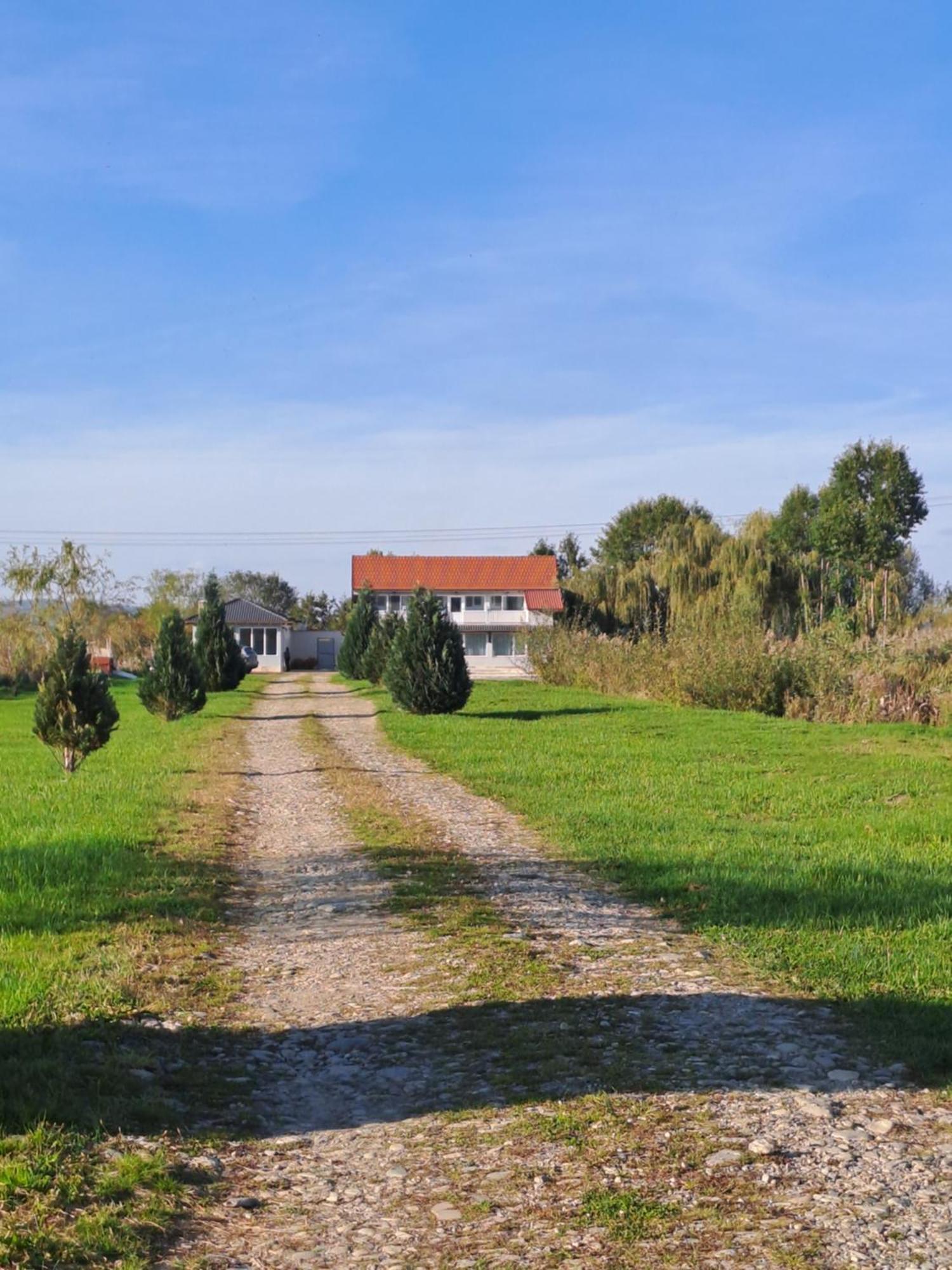 La Izvoare Pensiune-Pastravarie Simbata de Sus Exterior photo